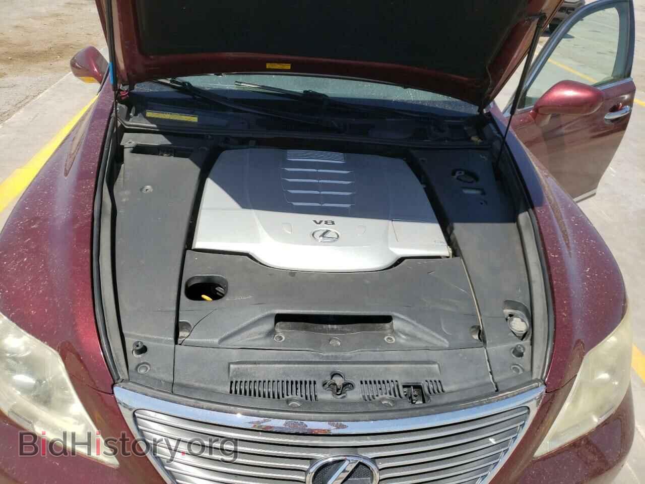 2009 LEXUS LS460 - VIN: JTHBL46F995086183 - Фото 7