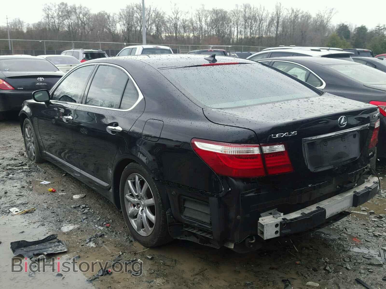 2009 LEXUS LS460 - VIN: JTHCL46F195003219 - Фото 3