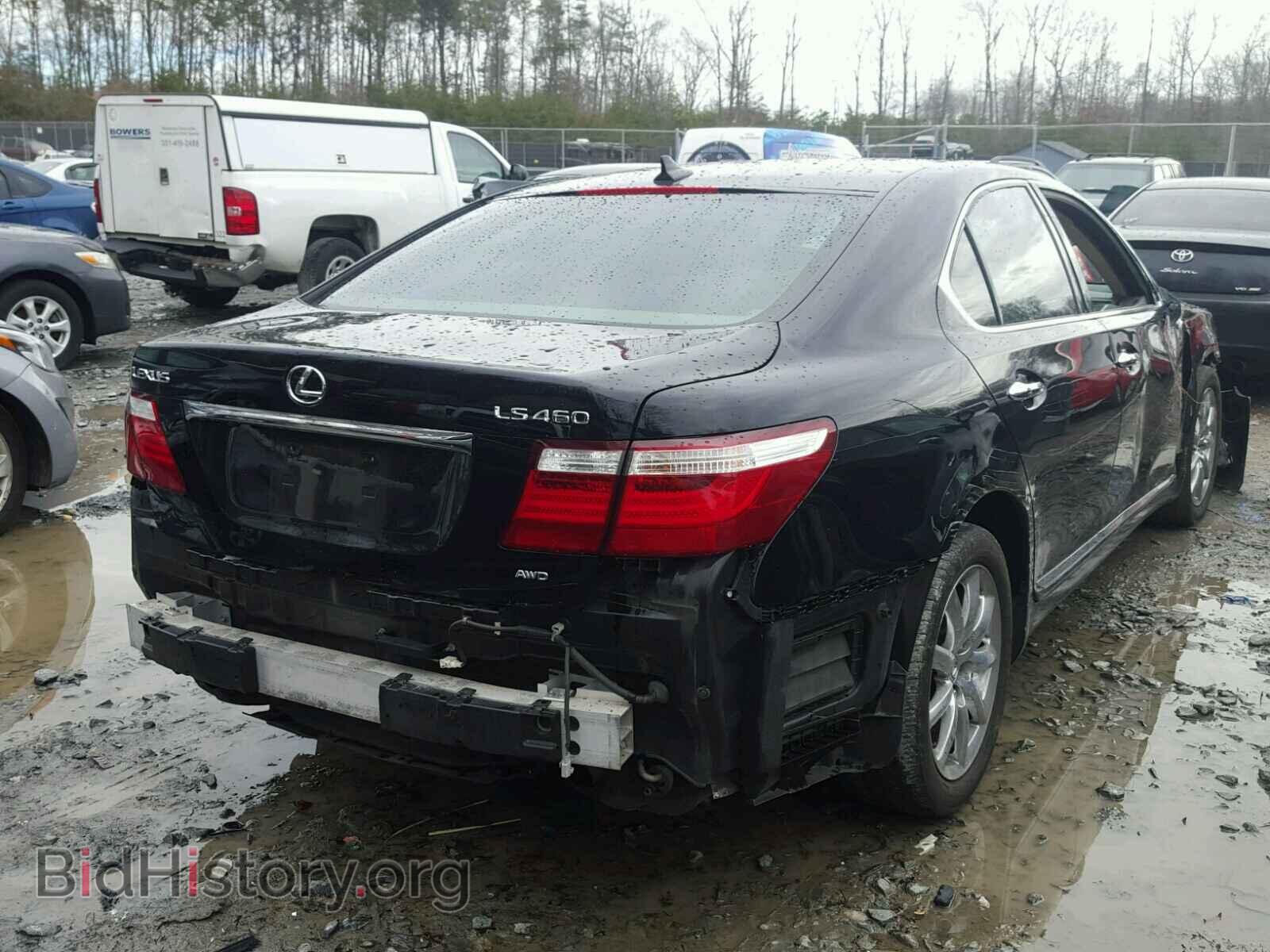2009 LEXUS LS460 - VIN: JTHCL46F195003219 - Фото 4