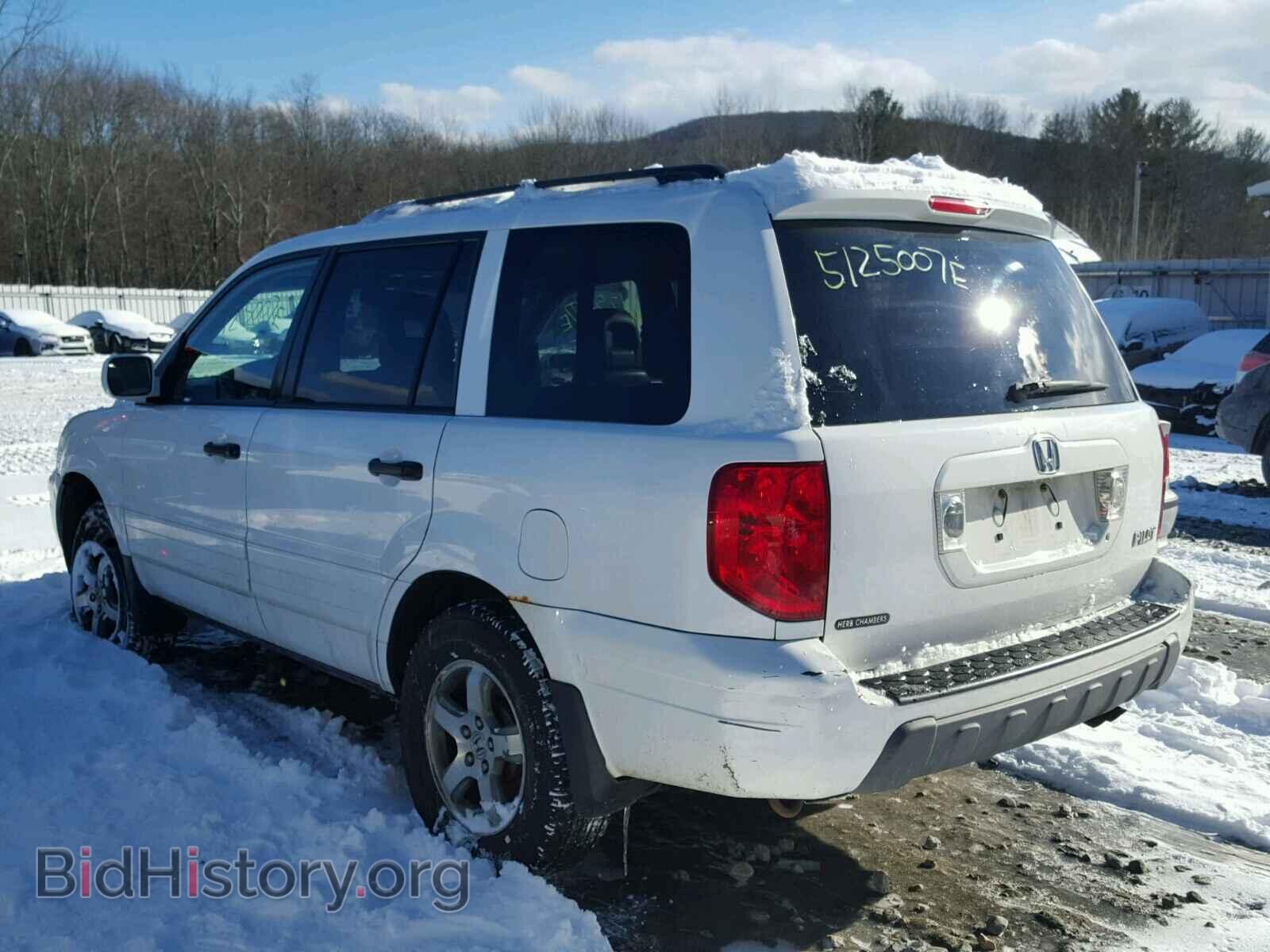 2005 HONDA PILOT - VIN: 2HKYF18775H511479 - Фото 3