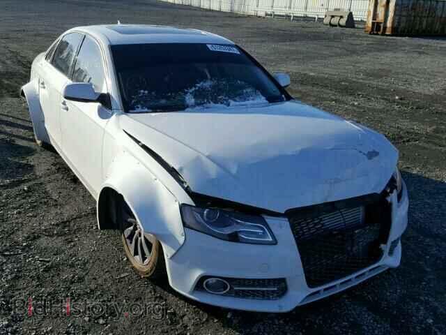 Photo WAUDFAFL1CA111899 - AUDI A4 2012