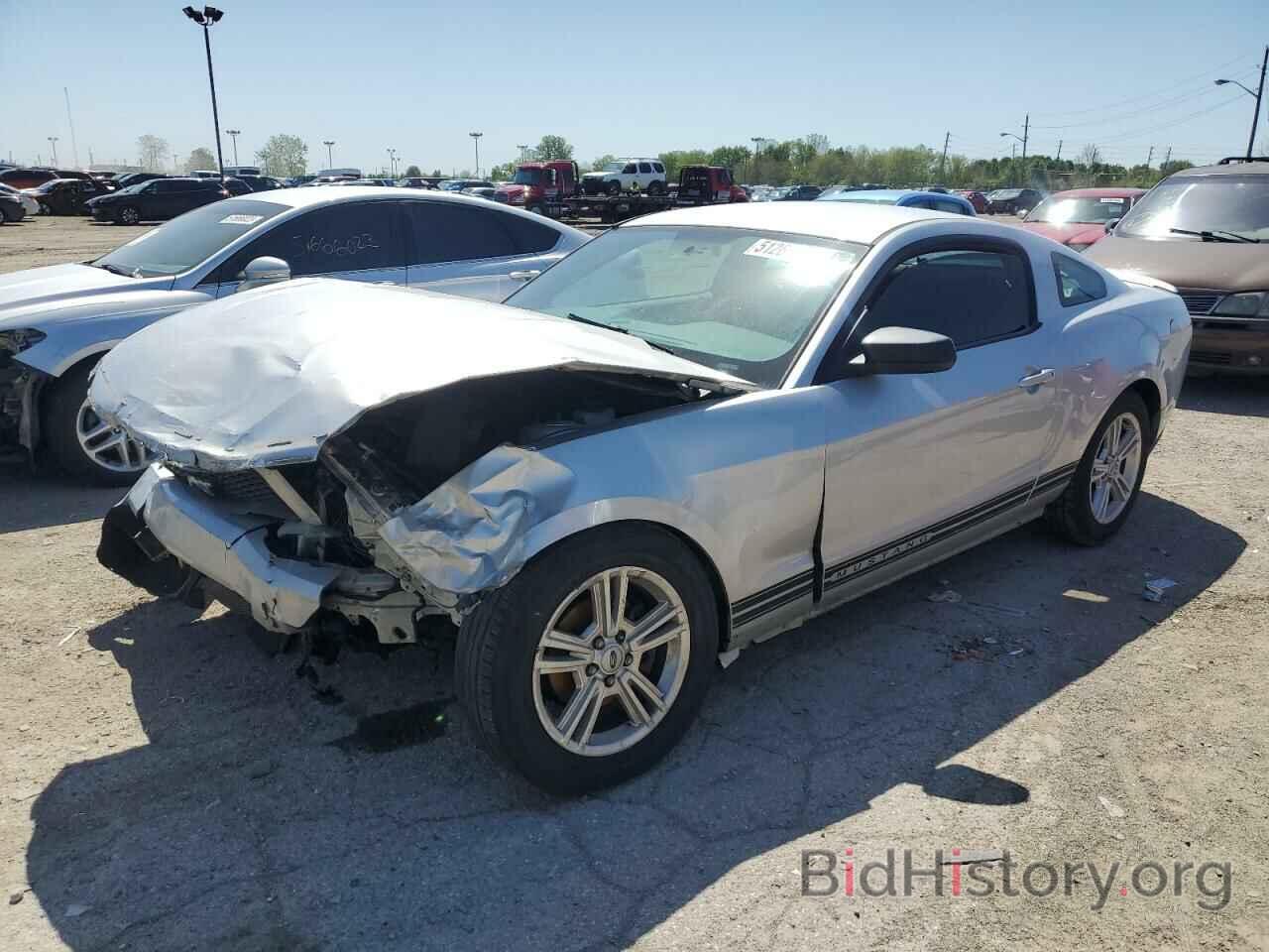 Photo 1ZVBP8AN5A5154329 - FORD MUSTANG 2010