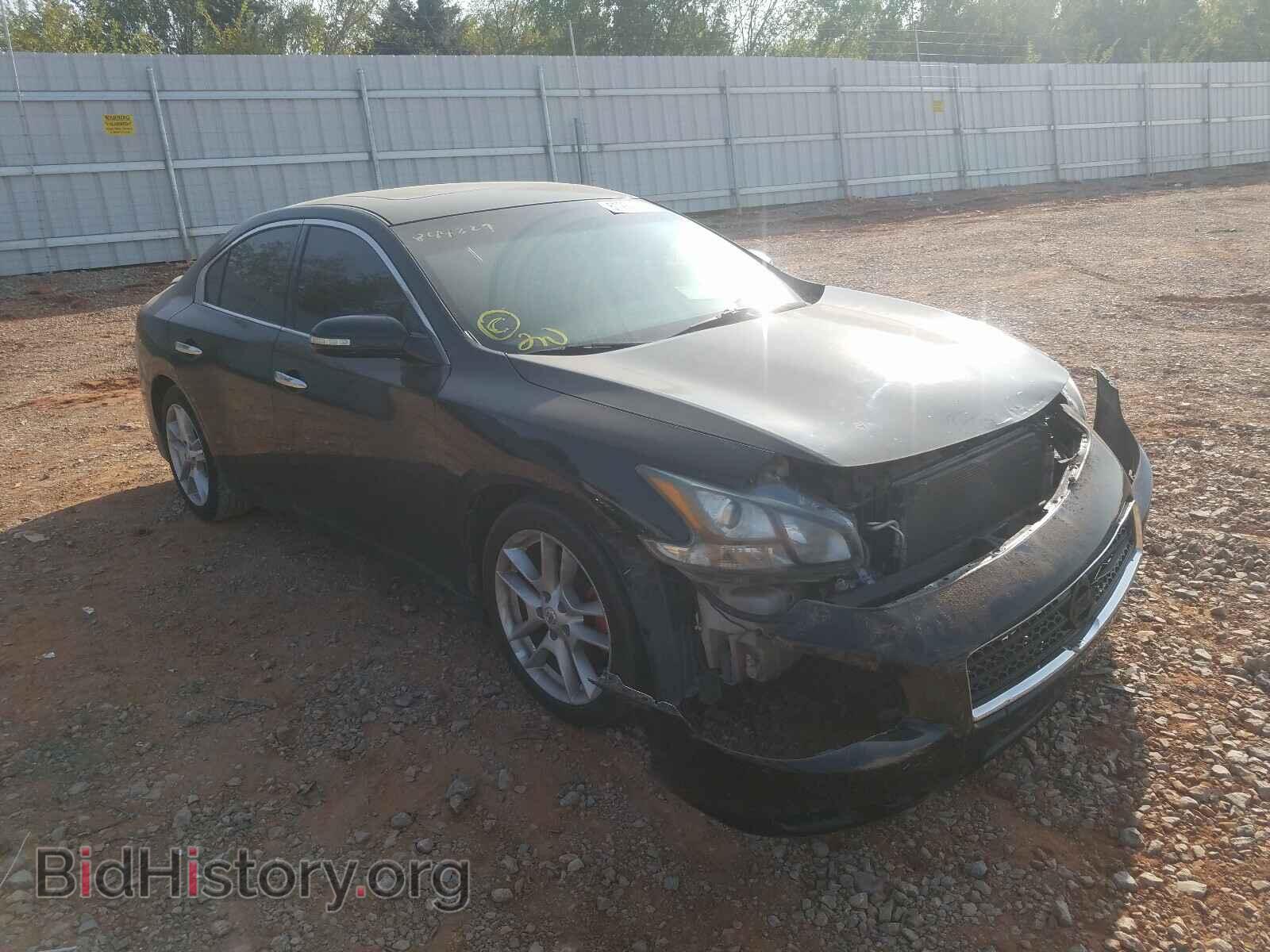 Фотография 1N4AA5AP7BC844229 - NISSAN MAXIMA 2011
