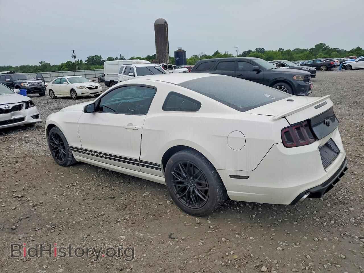 2013 FORD MUSTANG - VIN: 1ZVBP8AM6D5224819 - Фото 2