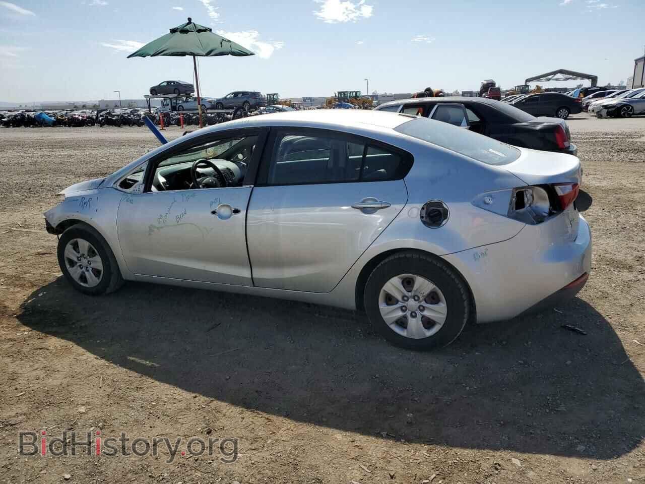 2014 KIA FORTE - VIN: KNAFK4A66E5113487 - Фото 2