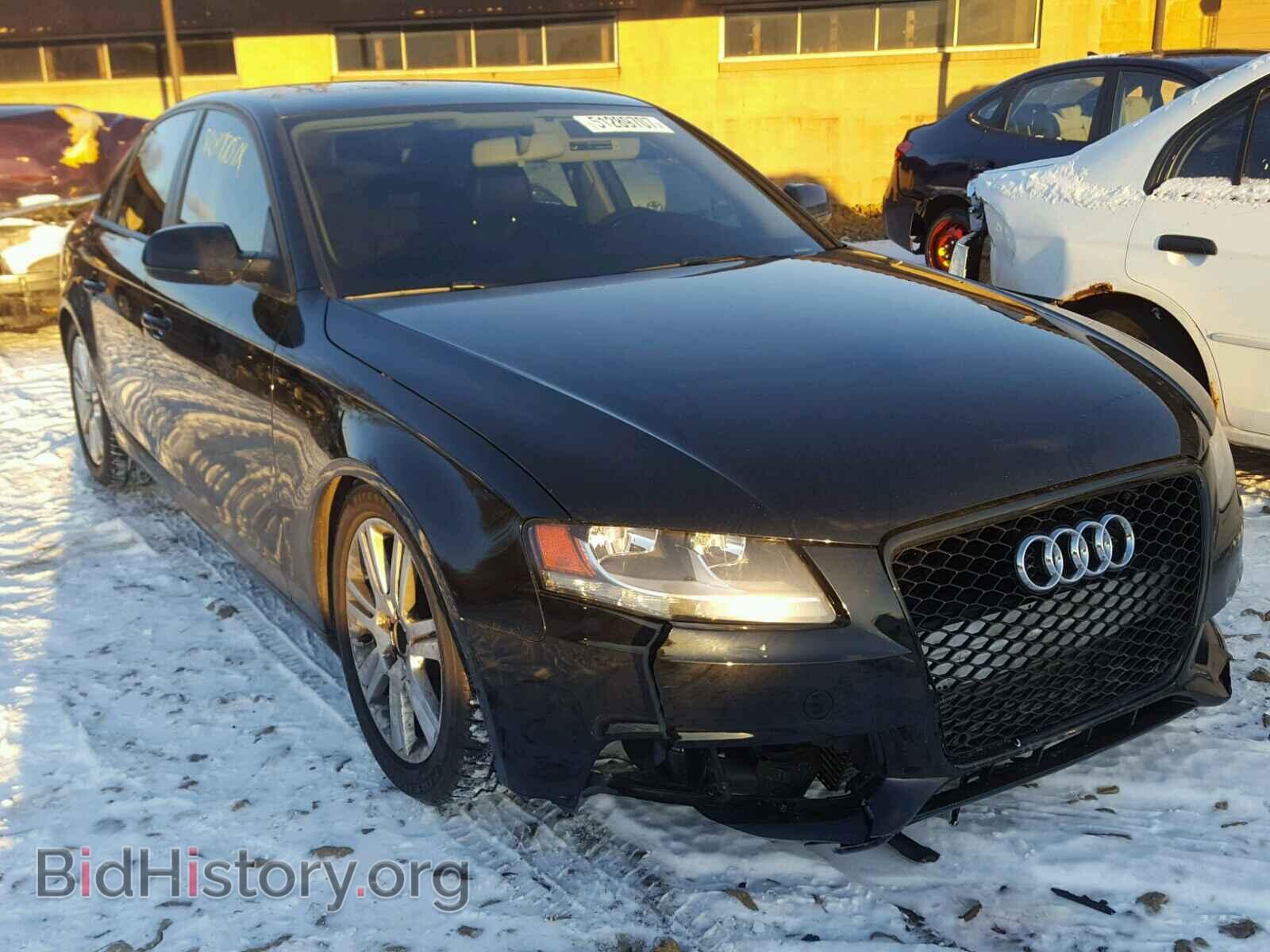 Фотография WAUBFAFL3AN025216 - AUDI A4 2010