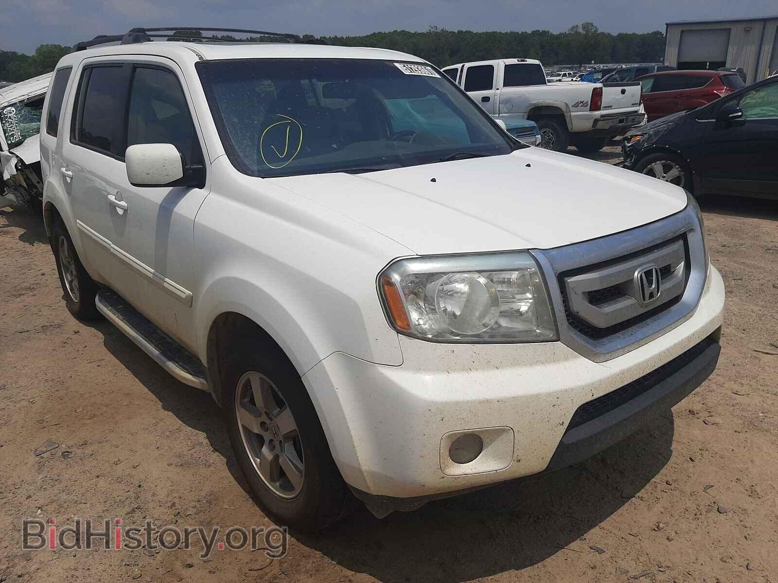 Фотография 5FNYF3H67BB020066 - HONDA PILOT 2011