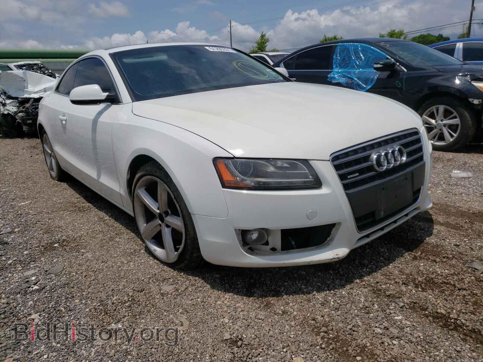 Photo WAULFAFR4AA024446 - AUDI A5 2010