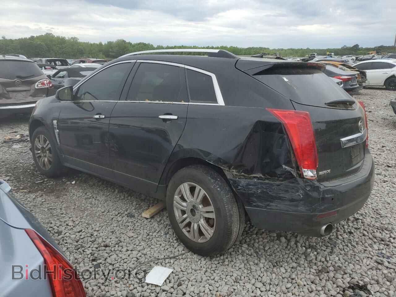 2011 CADILLAC SRX - VIN: 3GYFNAEY7BS564525 - Фото 2