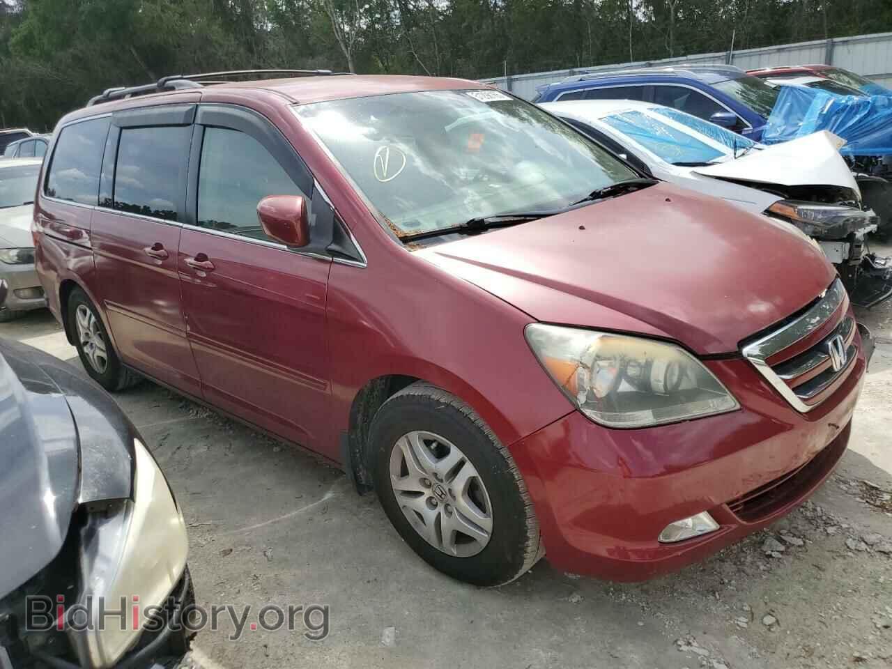 2005 HONDA All Models - VIN: 5FNRL384X5B008624 - Фото 4