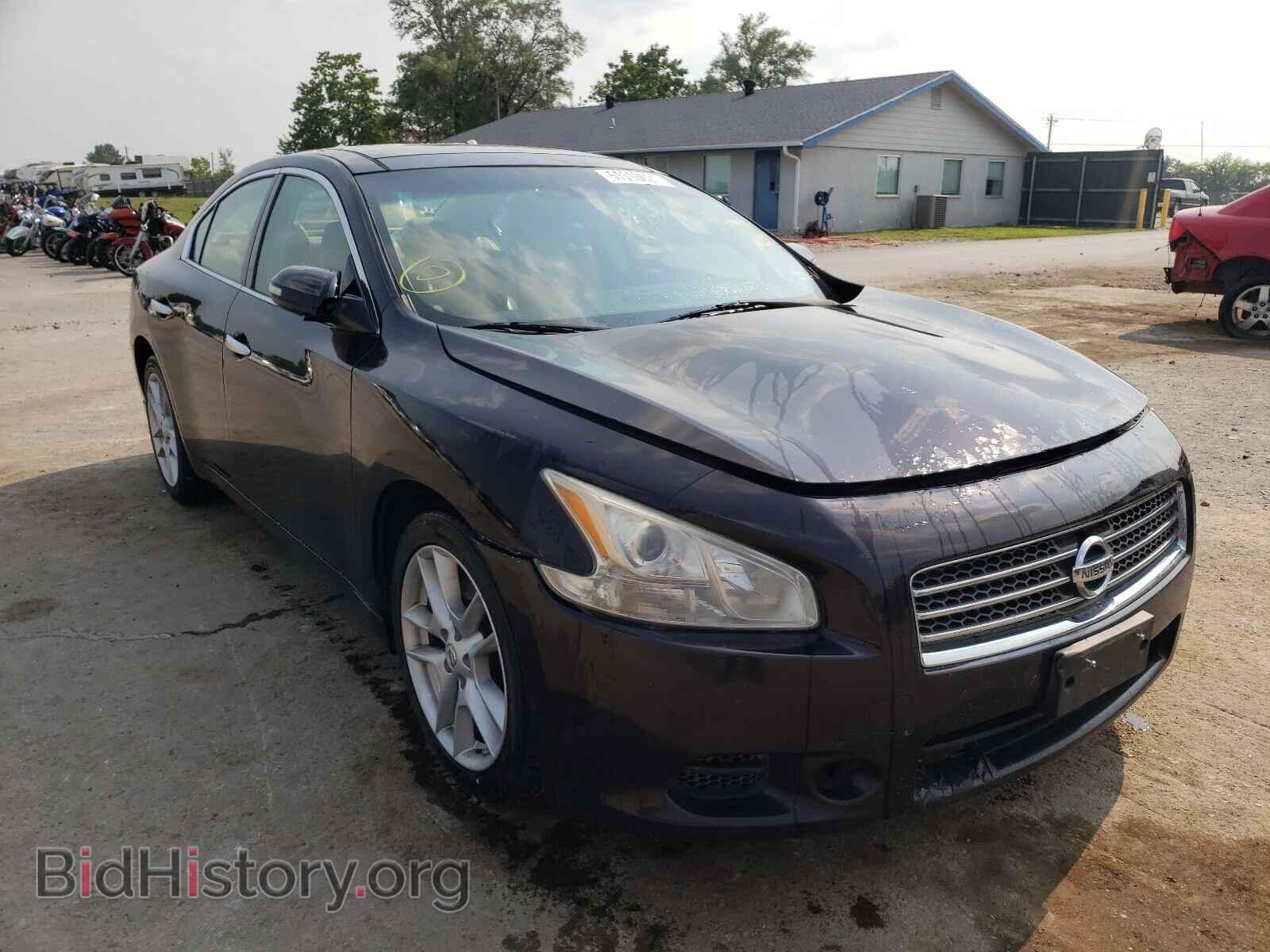 Photo 1N4AA5AP7AC873647 - NISSAN MAXIMA 2010