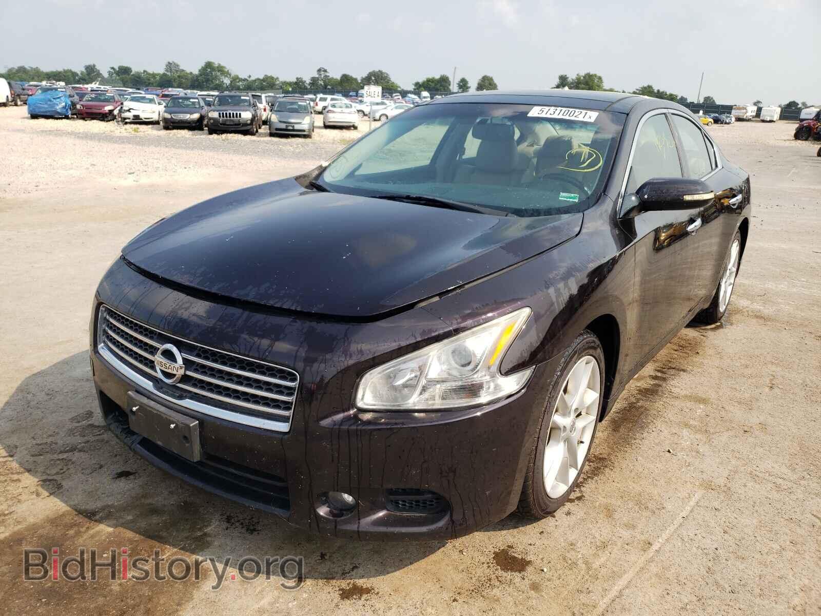 2010 NISSAN MAXIMA - VIN: 1N4AA5AP7AC873647 - Фото 2