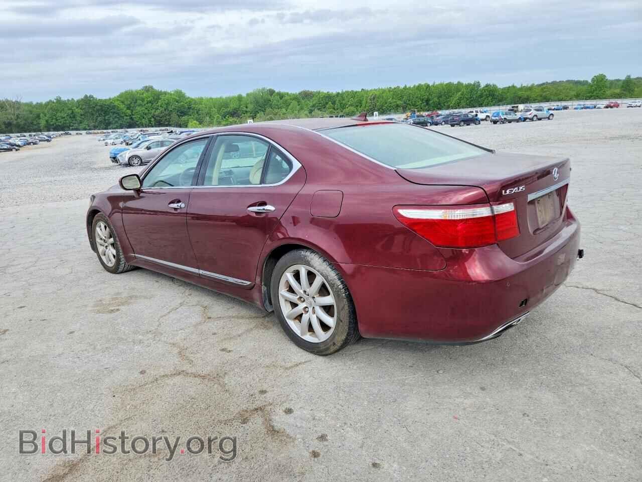 2009 LEXUS LS460 - VIN: JTHBL46F095086427 - Photo 2