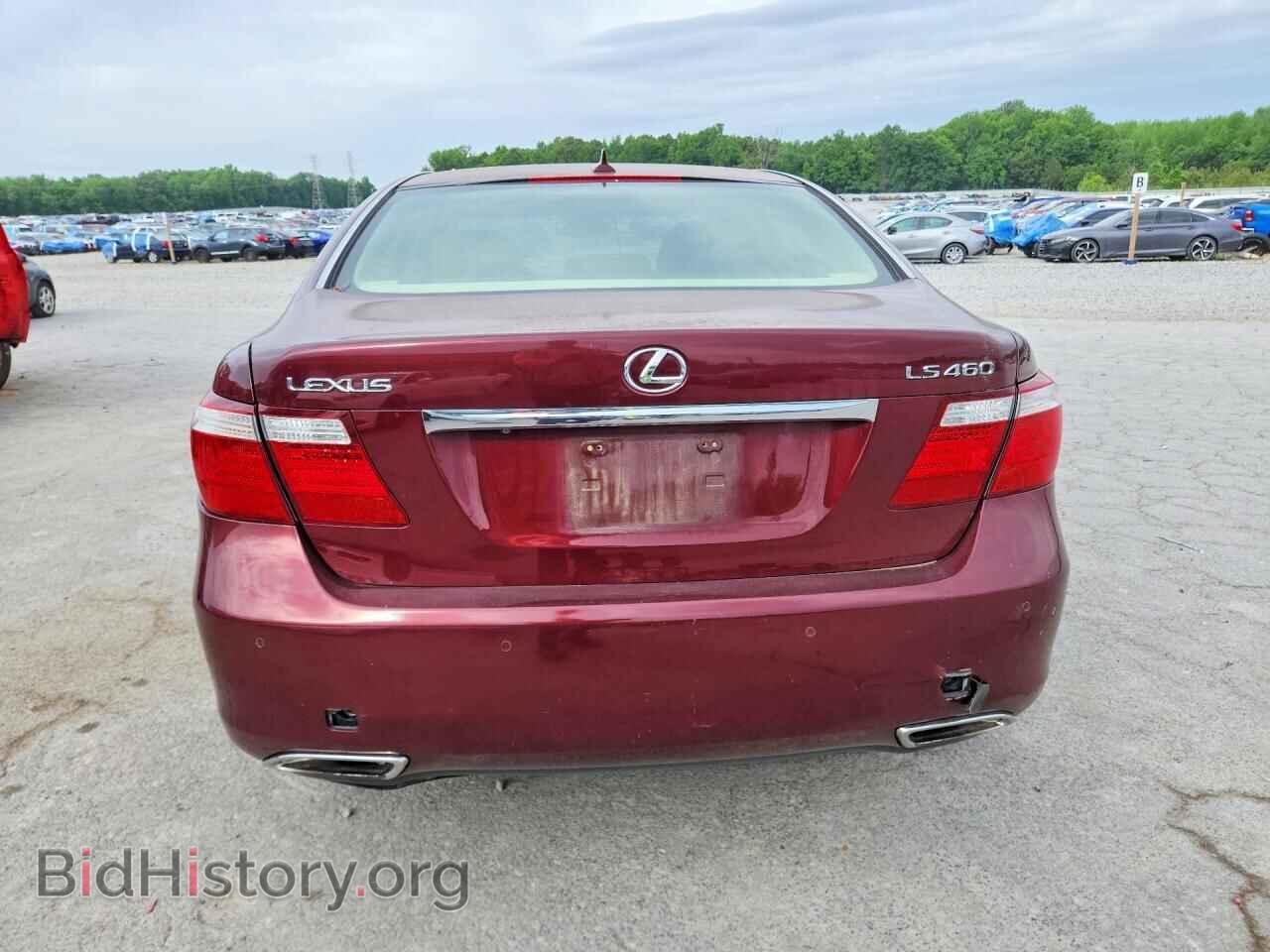2009 LEXUS LS460 - VIN: JTHBL46F095086427 - Photo 6