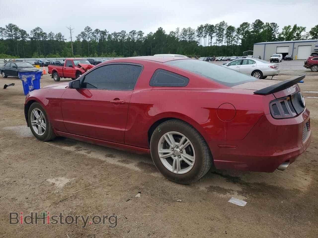 2014 FORD MUSTANG - VIN: 1ZVBP8AM1E5239584 - Фото 2