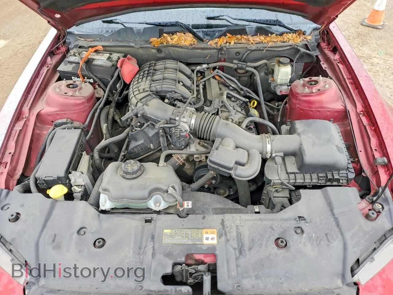 2014 FORD MUSTANG - VIN: 1ZVBP8AM1E5239584 - Фото 11