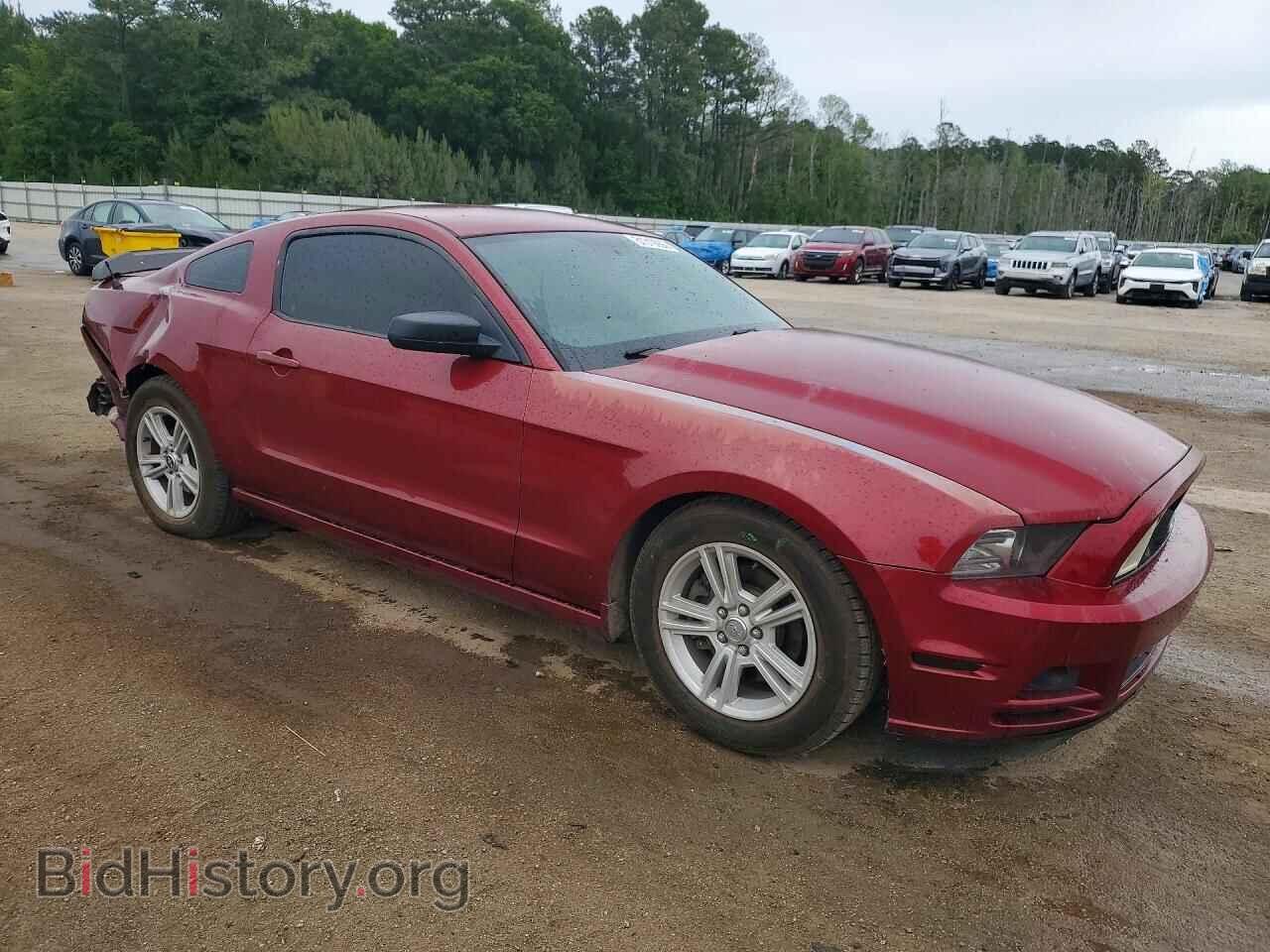 2014 FORD MUSTANG - VIN: 1ZVBP8AM1E5239584 - Фото 4
