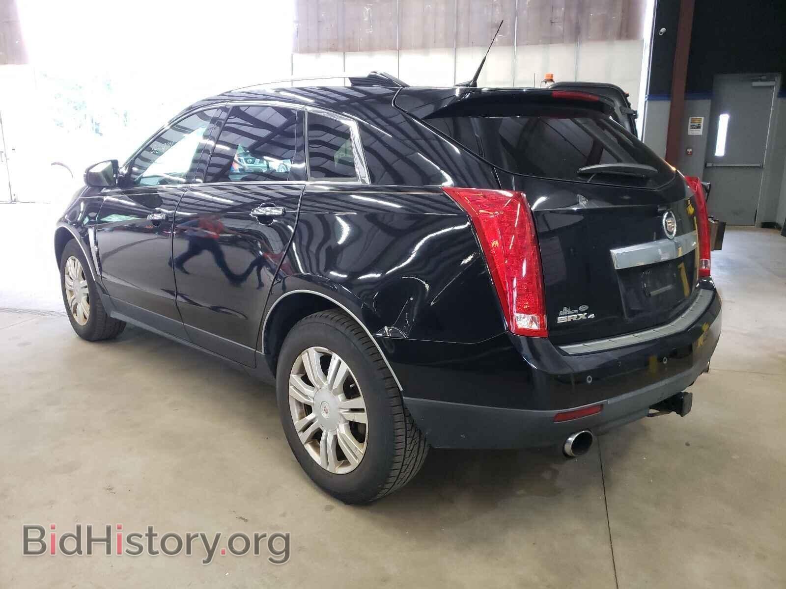 2010 CADILLAC SRX - VIN: 3GYFNDEY7AS611116 - Фото 3