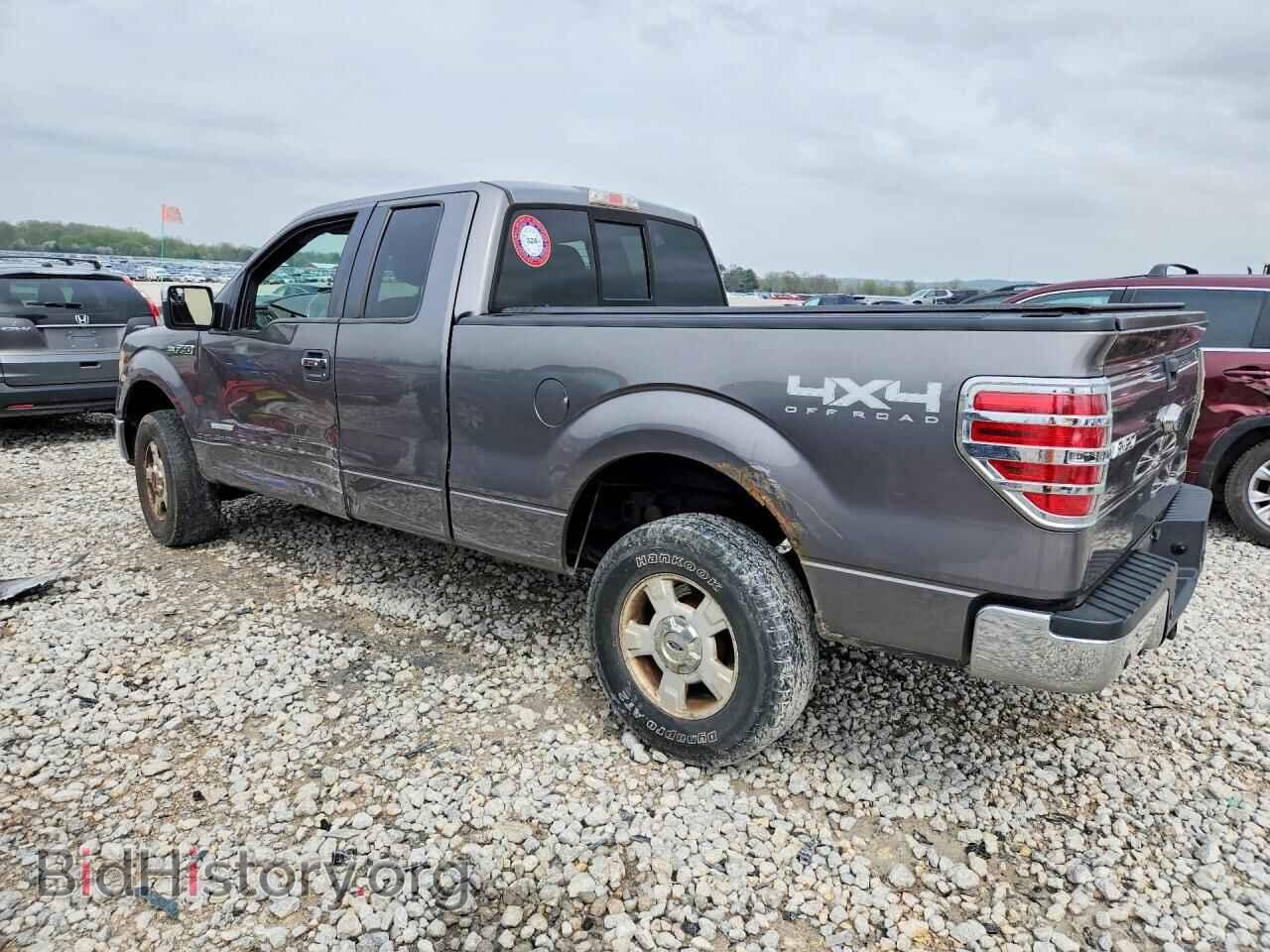 2011 FORD F150 - VIN: 1FTFX1ET0BFB15518 - Фото 2