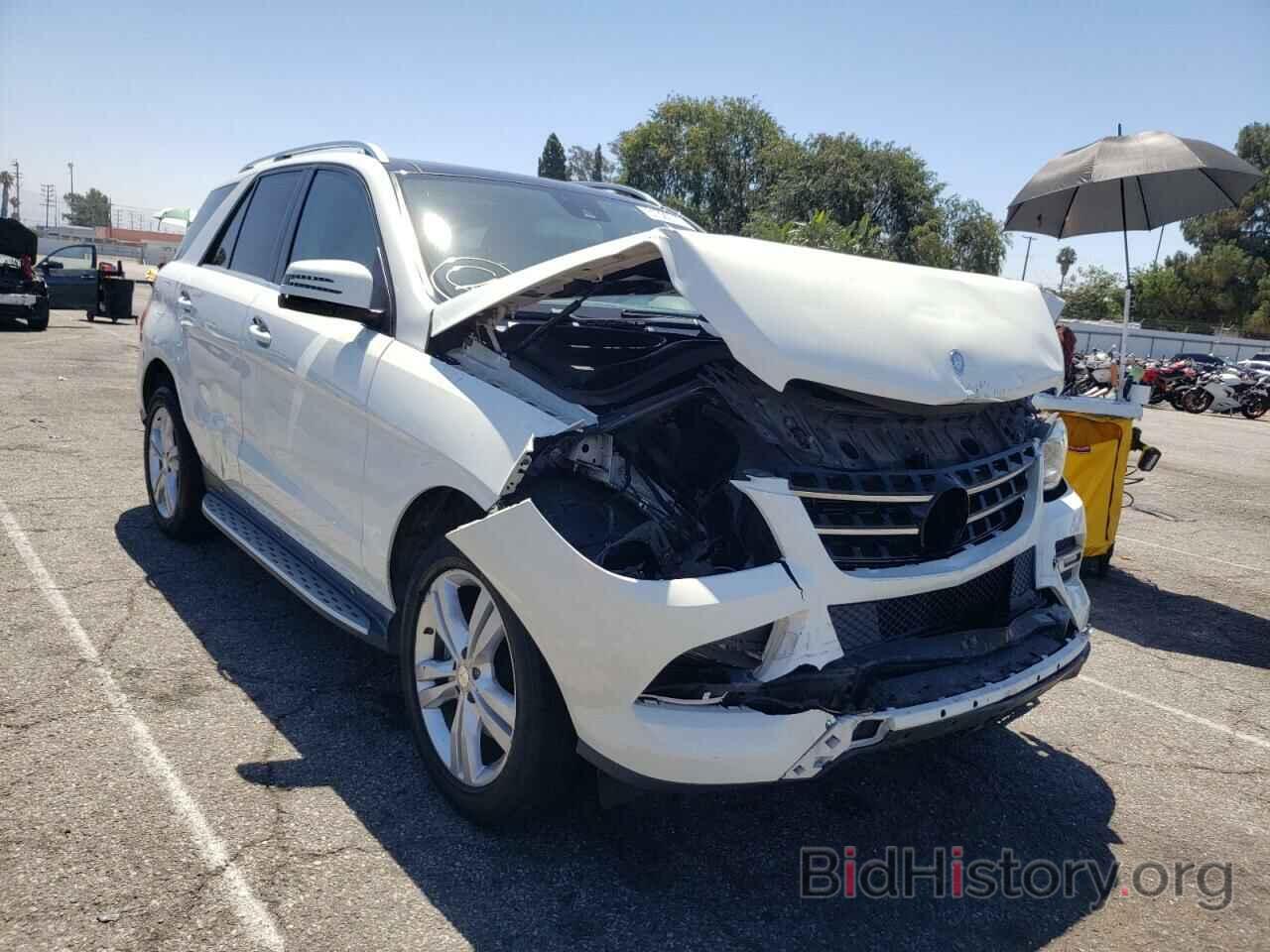 Photo 4JGDA5HB1DA216985 - MERCEDES-BENZ M-CLASS 2013