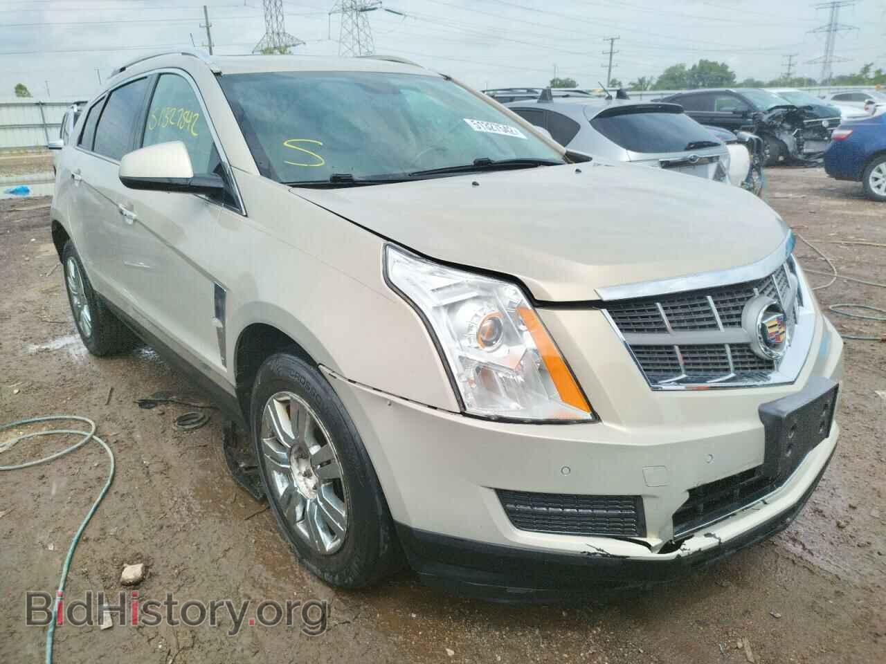 Фотография 3GYFNAEY7BS611987 - CADILLAC SRX 2011