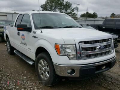 2013 Ford F150 F150 Super, white — VIN 1FTFX1CTXDFB38875, Copart