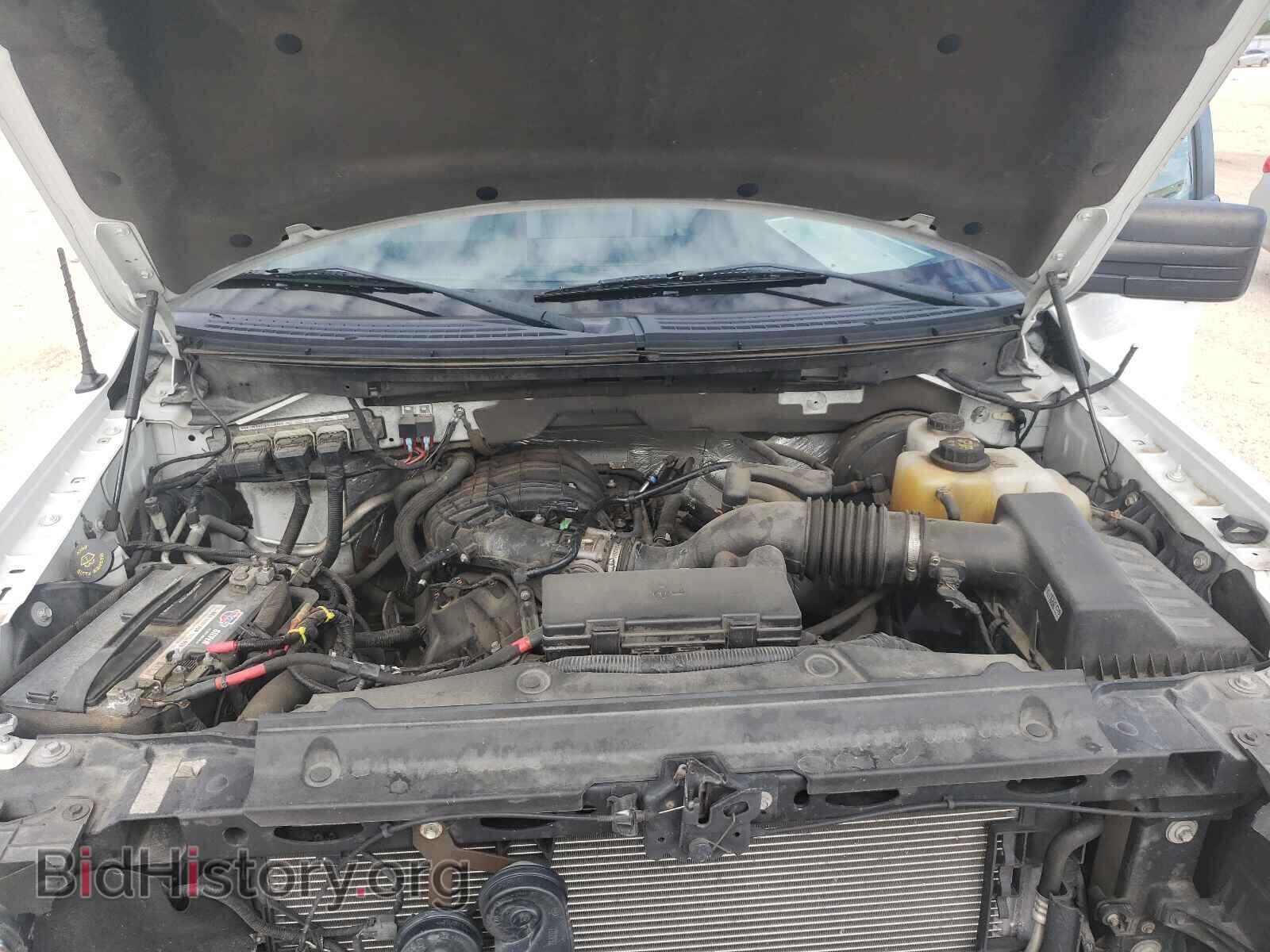 2013 FORD F150 - VIN: 1FTMF1CM6DKF29953 - Фото 7