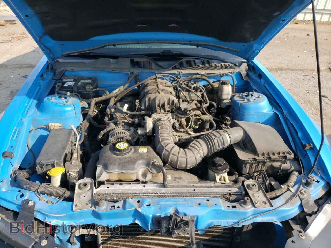 2010 FORD MUSTANG - VIN: 1ZVBP8AN2A5128352 - Фото 7