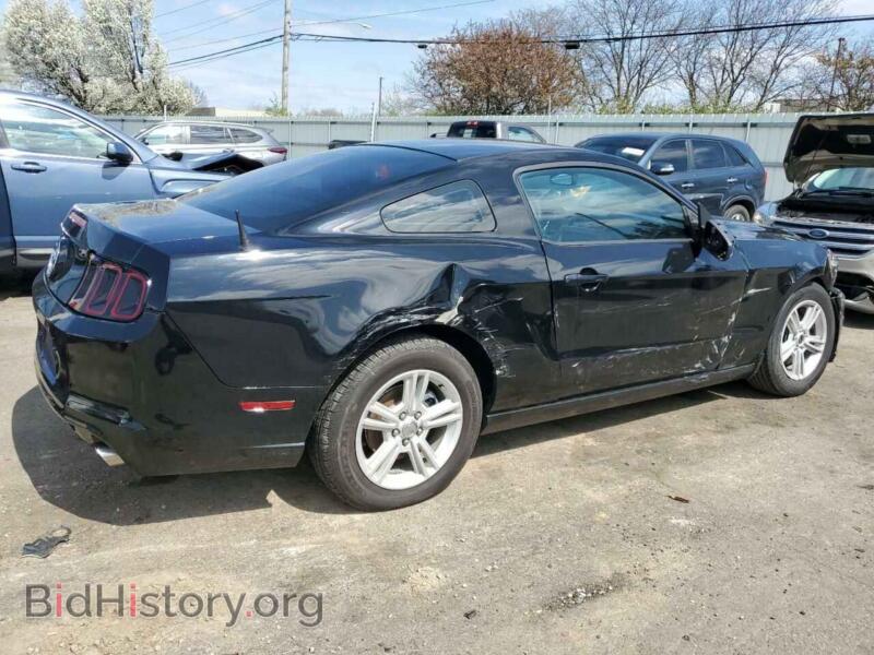 2014 Ford ALL MODELS (VIN 1ZVBP8AM4E5290481) — photo 3 of 12