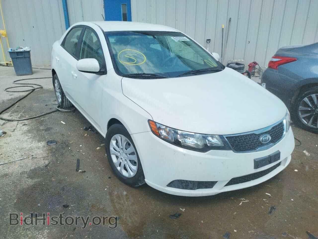 Photo KNAFT4A28D5679207 - KIA FORTE 2013