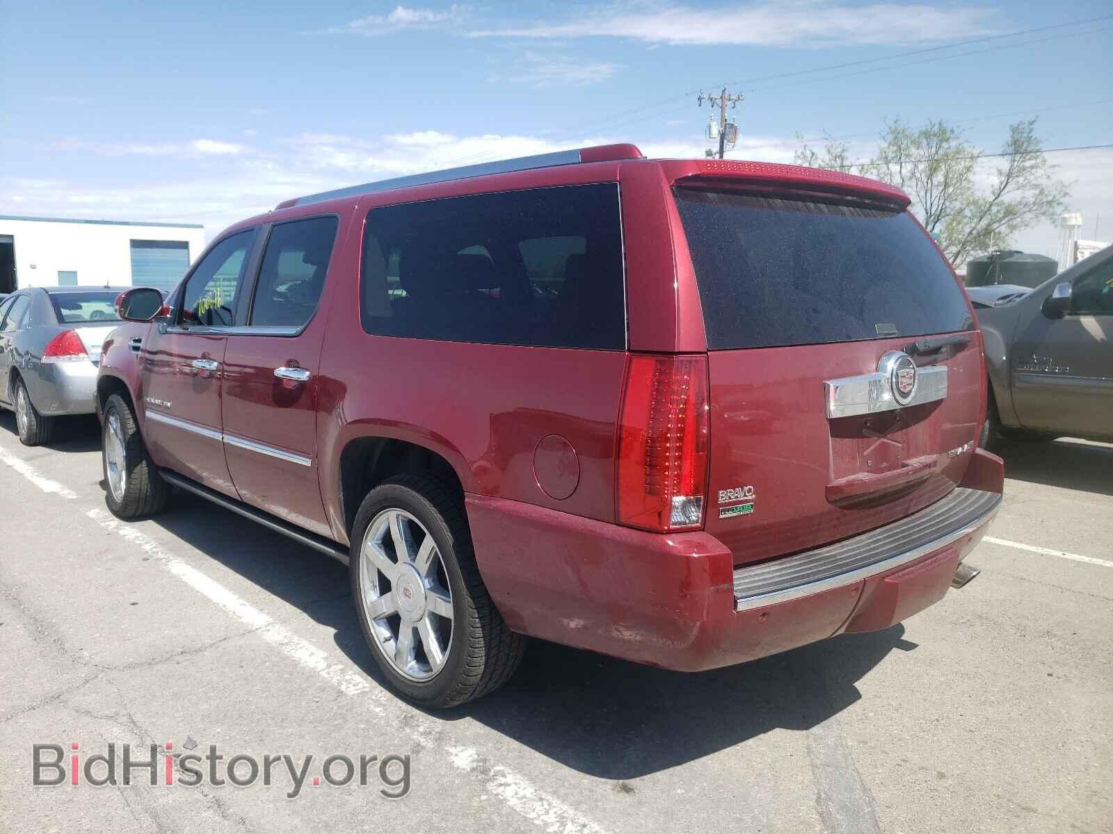 2011 CADILLAC ESCALADE - VIN: 1GYS3JEF1BR162568 - Фото 3