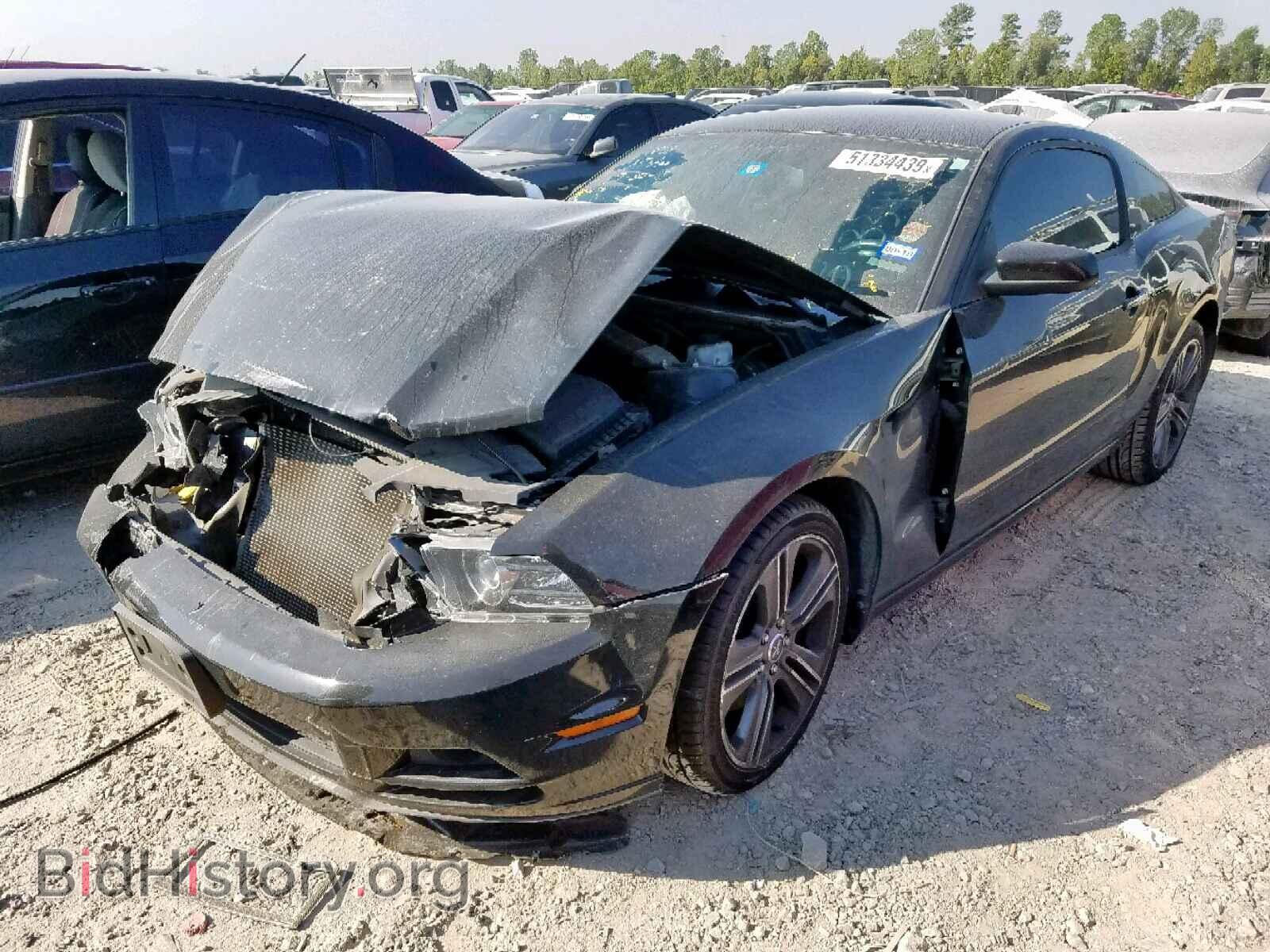 2013 FORD MUSTANG - VIN: 1ZVBP8AM8D5247759 - Фото 2