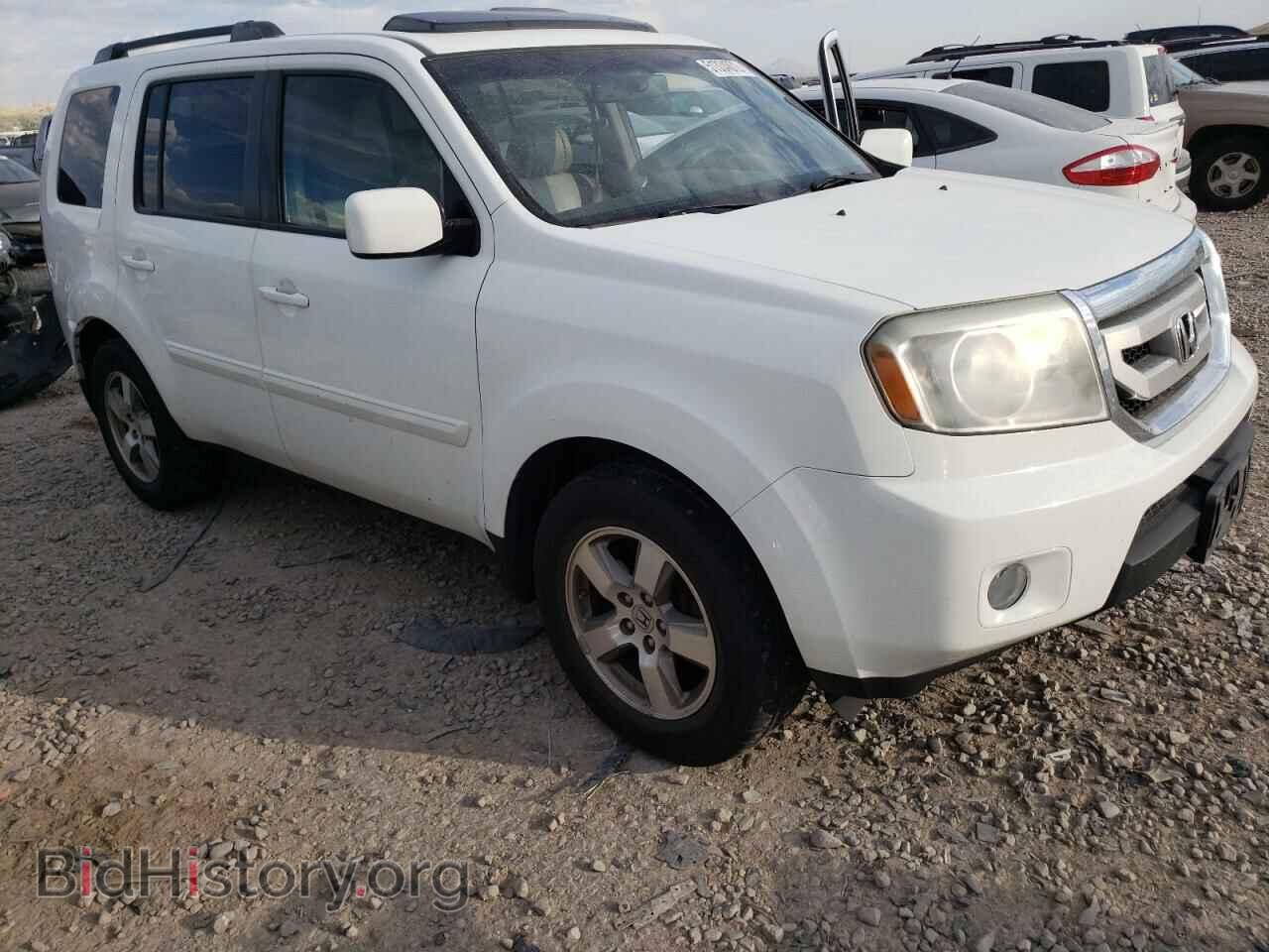 Фотография 5FNYF4H64BB012013 - HONDA PILOT 2011