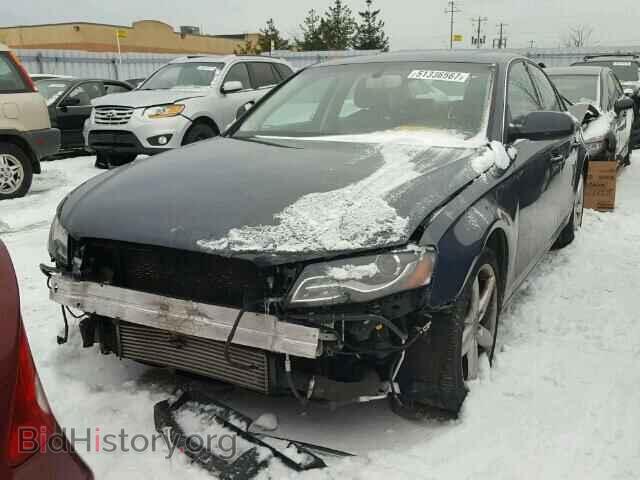 2010 AUDI A4 - VIN: WAUFFCFL8AN009719 - Фото 2
