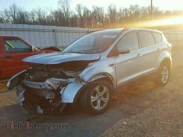 2014 FORD ESCAPE - VIN: 1FMCU9G94EUC48855 - Фото 2