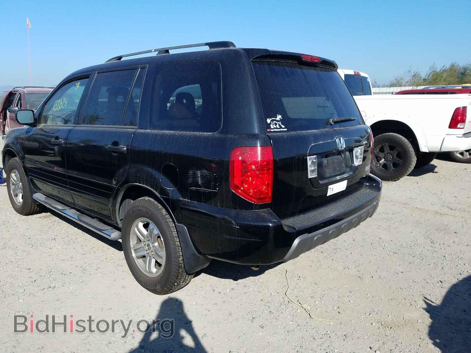 2005 HONDA PILOT - VIN: 2HKYF18565H559084 - Фото 3