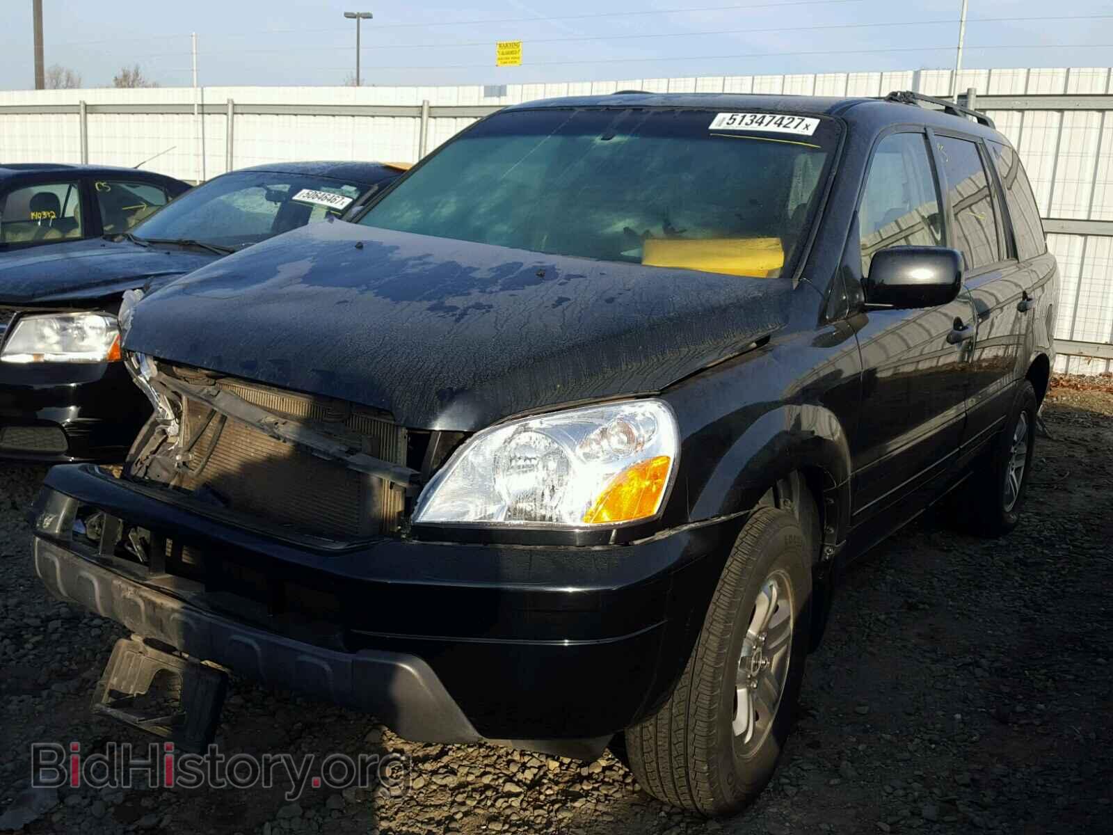 2005 HONDA PILOT - VIN: 2HKYF18595H560164 - Фото 2