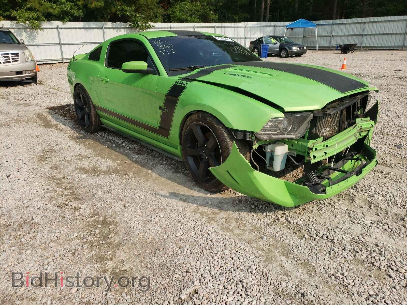 Фотография 1ZVBP8CF8D5256153 - FORD MUSTANG 2013