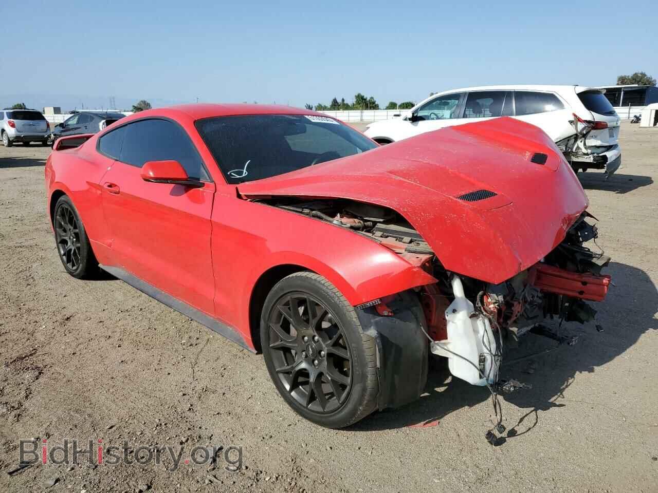 2019 FORD ALL Models - VIN: 1FA6P8TH4K5181265 - Фото 4