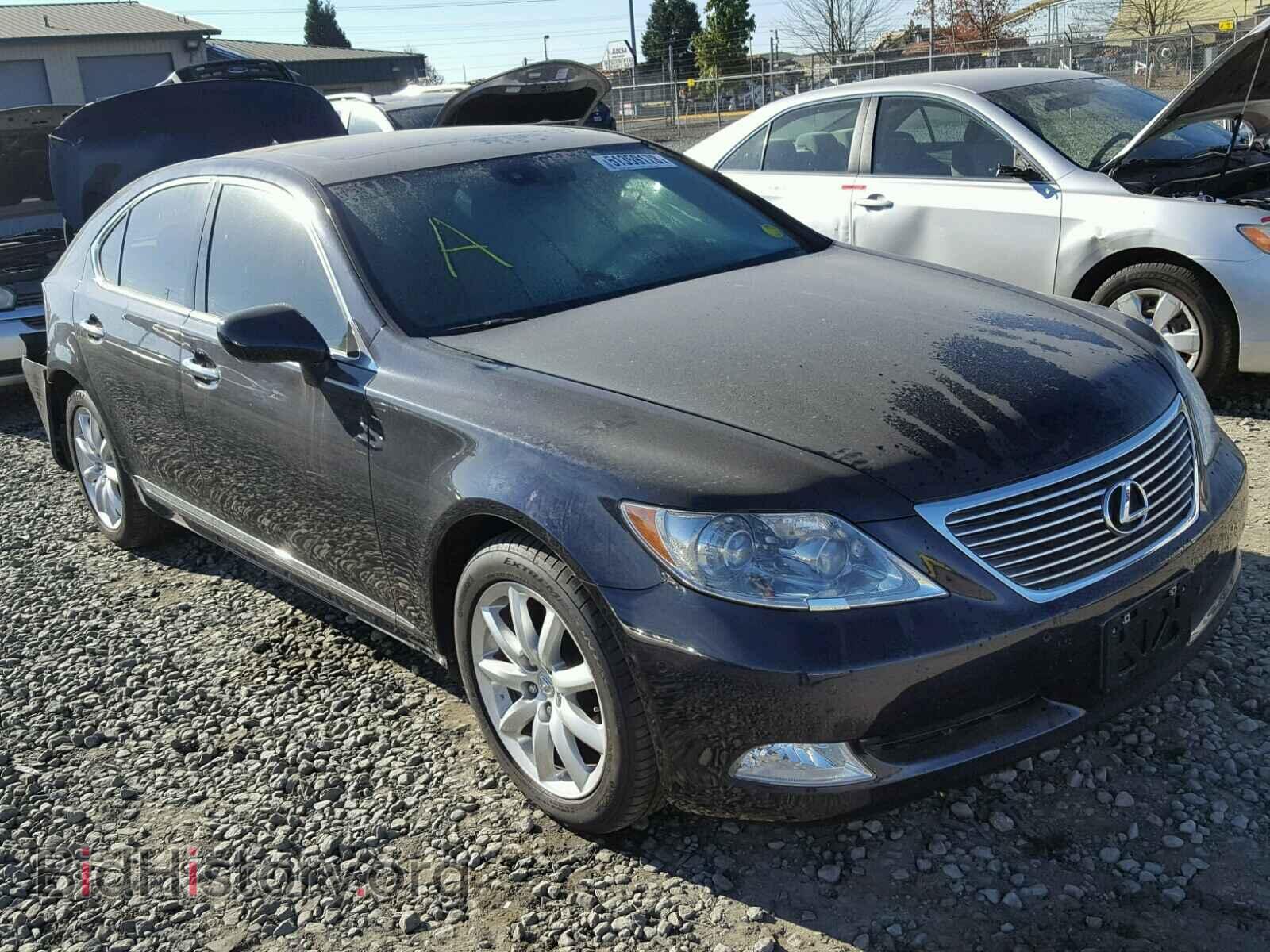 Photo JTHBL46F875032046 - LEXUS LS460 2007