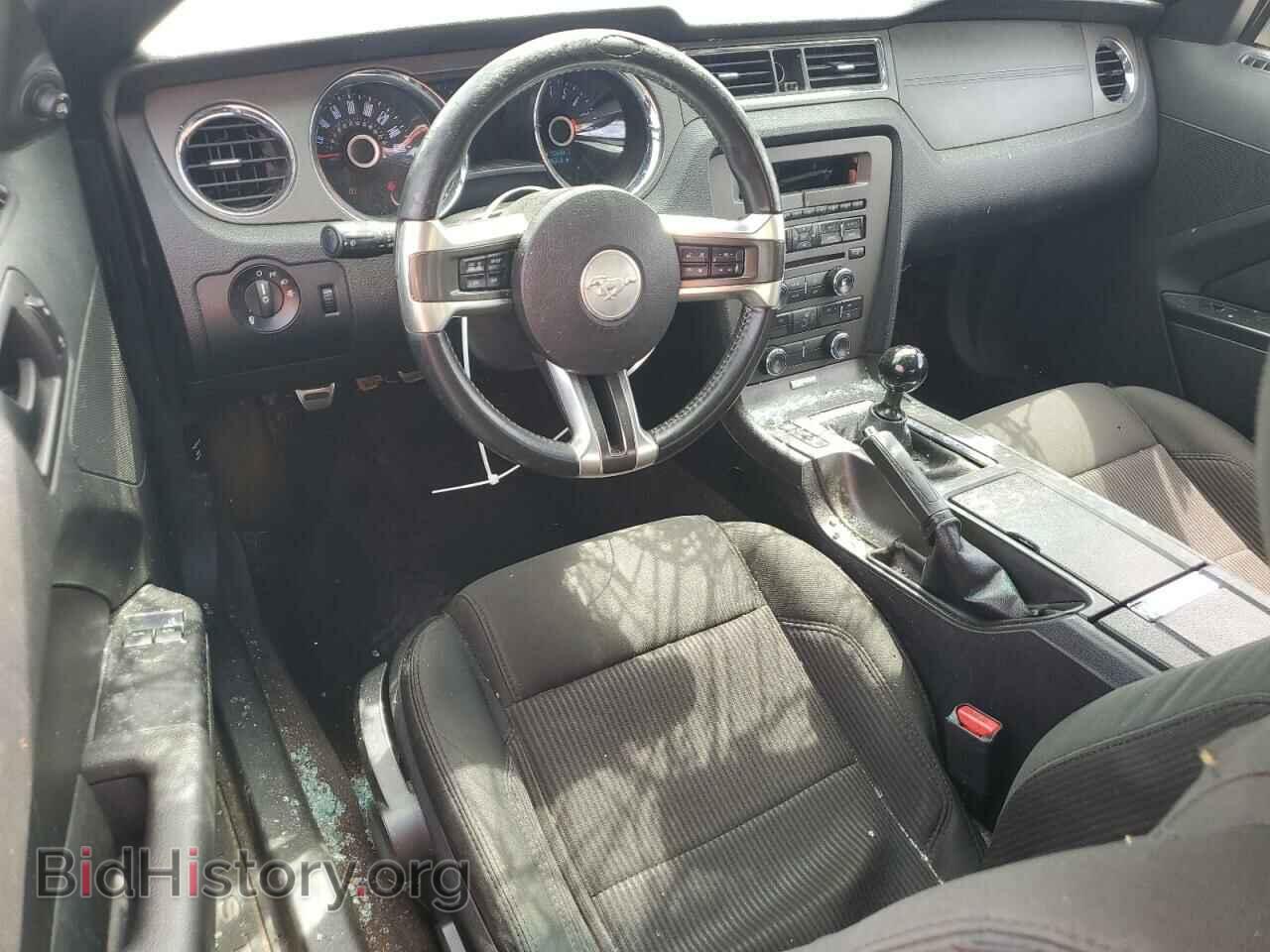 2014 FORD MUSTANG - VIN: 1ZVBP8CF9E5332223 - Фото 8