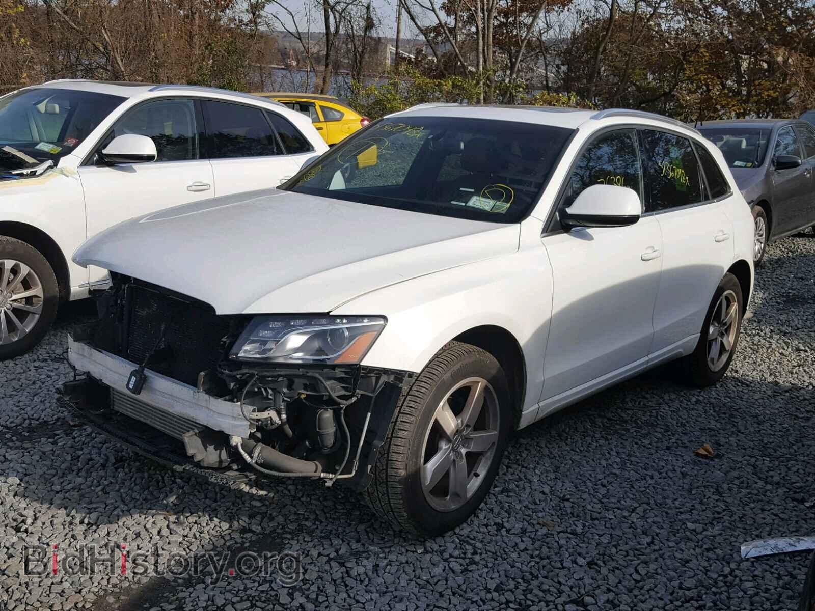 2012 AUDI Q5 - VIN: WA1LFAFP6CA127009 - Фото 2