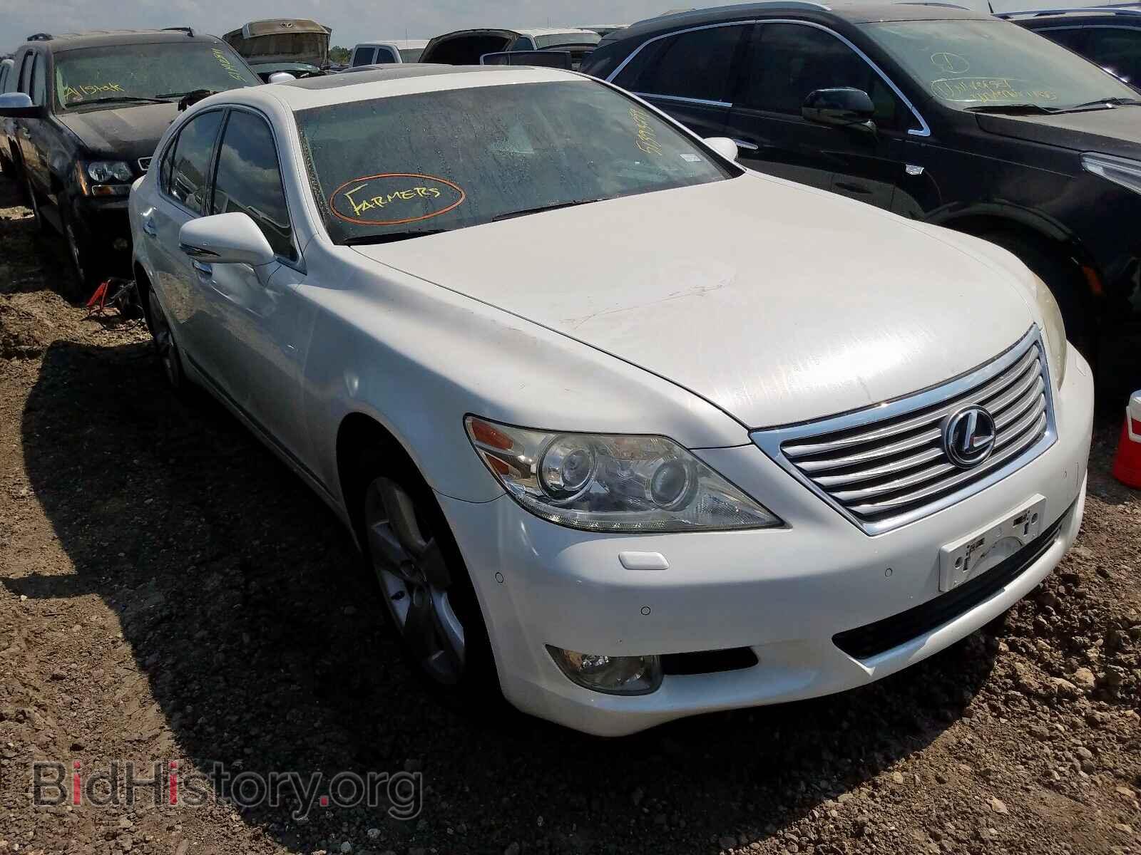 Фотография JTHBL5EF9C5113512 - LEXUS LS460 2012