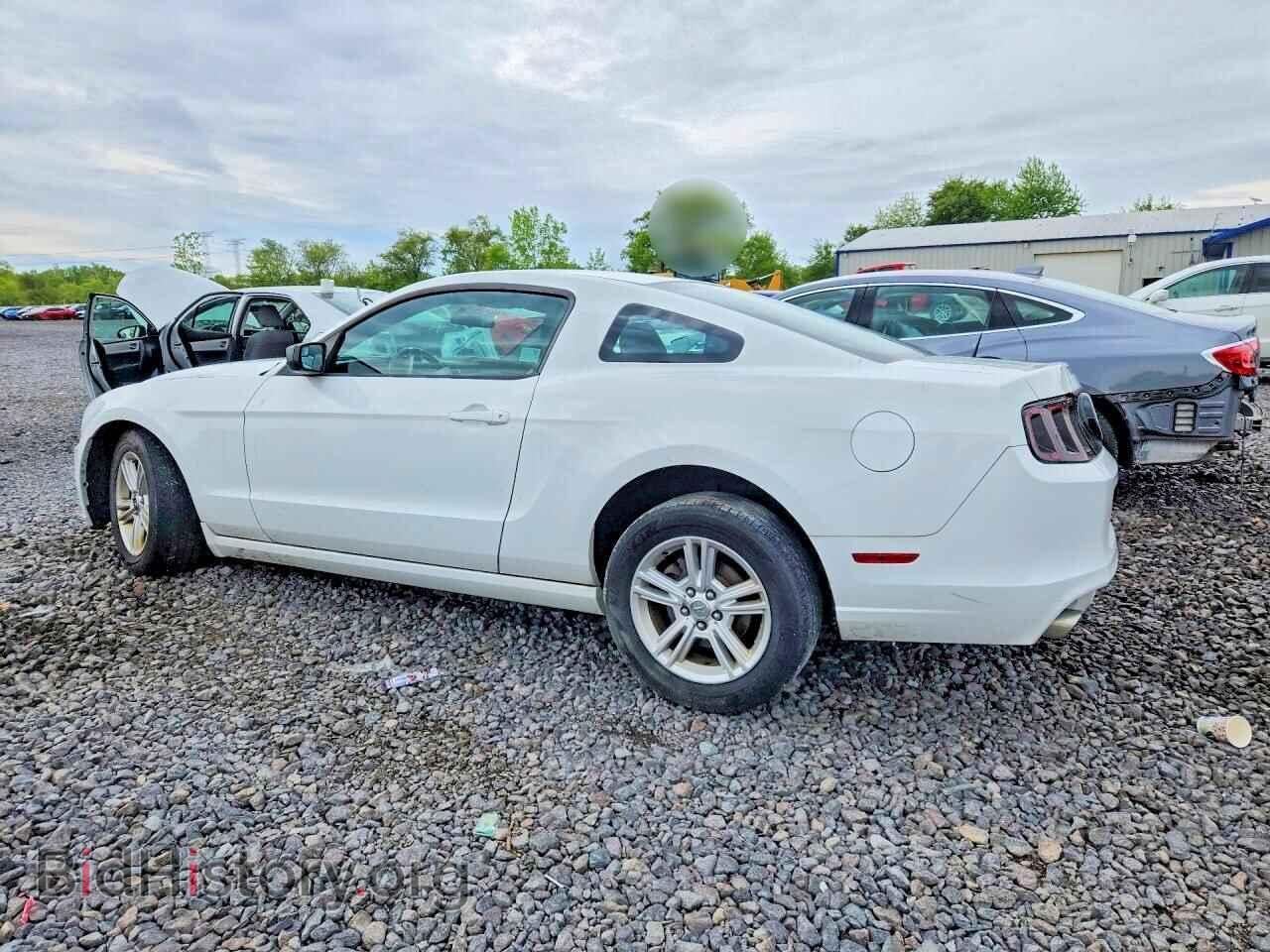 2014 FORD ALL Models - VIN: 1ZVBP8AM8E5325703 - Фото 2
