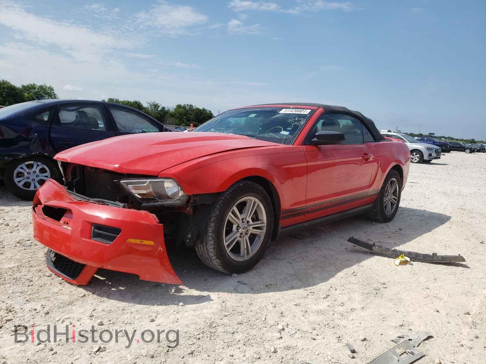2011 FORD MUSTANG - VIN: 1ZVBP8EM5B5116764 - Фото 2