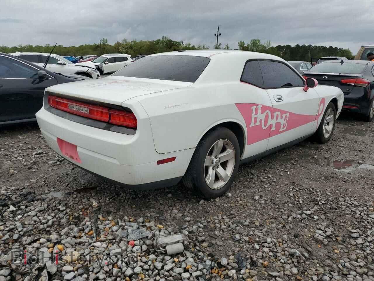 2010 DODGE CHALLENGER - VIN: 2B3CJ4DV9AH320942 - Фото 3