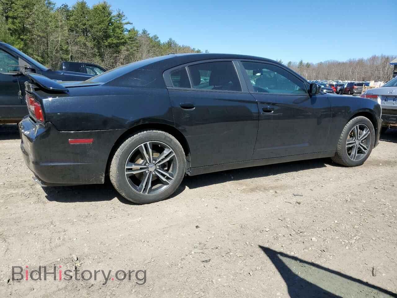 2013 DODGE CHARGER - VIN: 2C3CDXJG7DH618007 - Фото 3