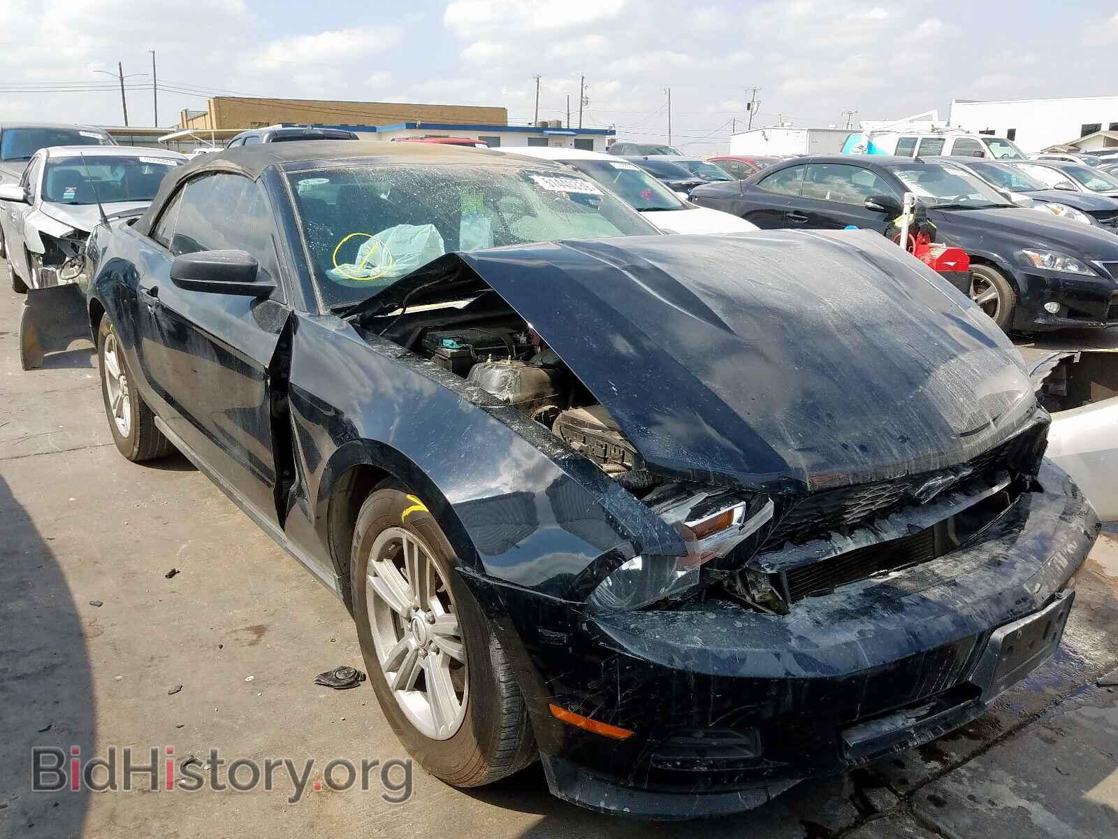 Фотография 1ZVBP8EM3C5201443 - FORD MUSTANG 2012