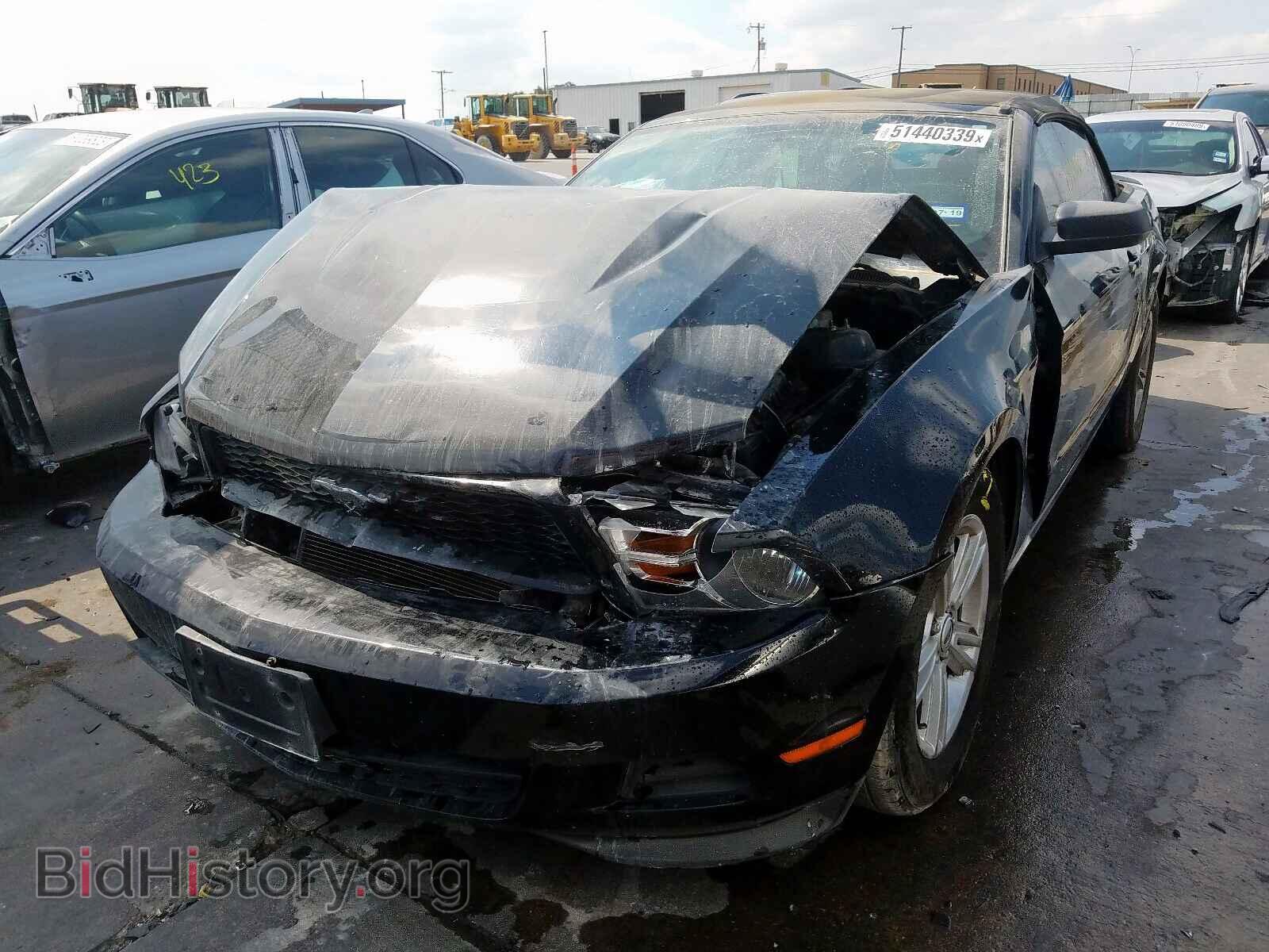 2012 FORD MUSTANG - VIN: 1ZVBP8EM3C5201443 - Фото 2