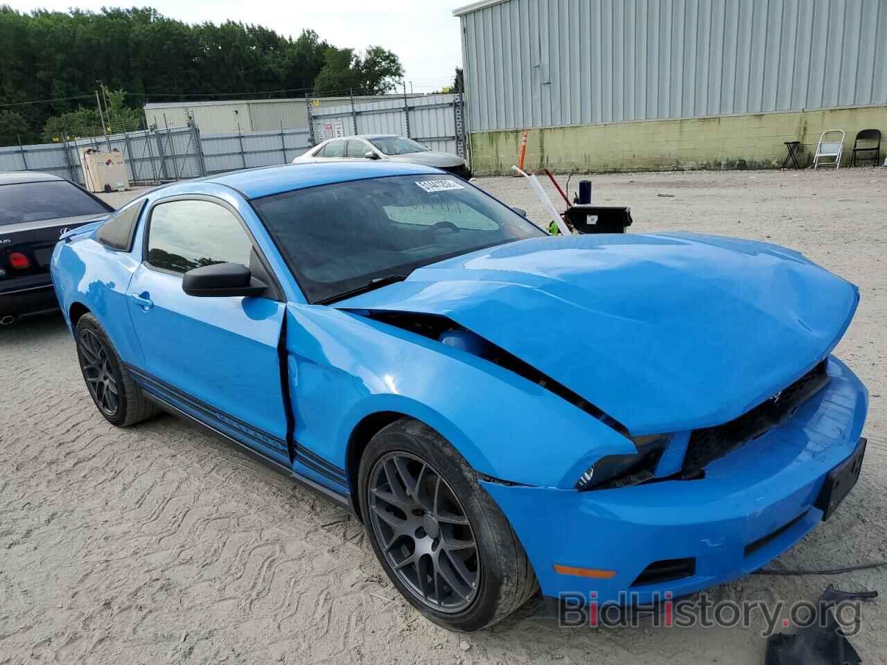 Photo 1ZVBP8AN6A5120464 - FORD MUSTANG 2010